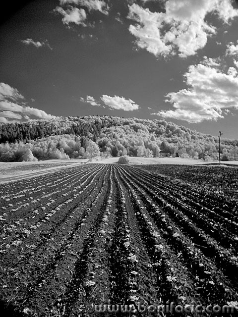 bw___Plowed___Sabljak Selo, Croatia.