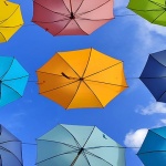 novigrad101hrkisobranmal