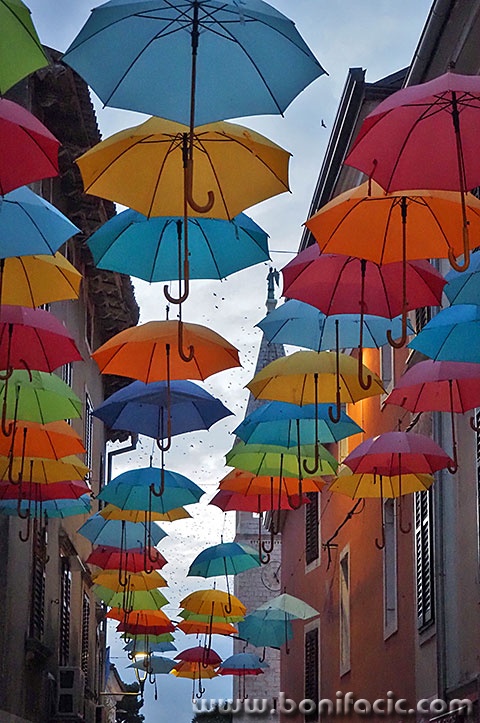novigrad.77mal