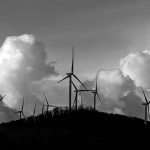 vjetyrenicevratnik1BWmalk