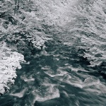 bw___River Kupa___Zeleni Vir, Croatia.