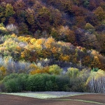 josipdolsumajesen1mal