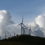 vratnikvjetrenice2mal