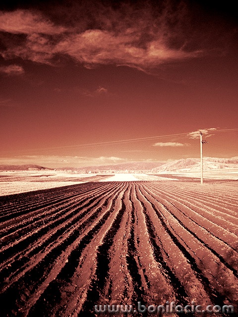 bw___Ridge___Sabljaci, Croatia.