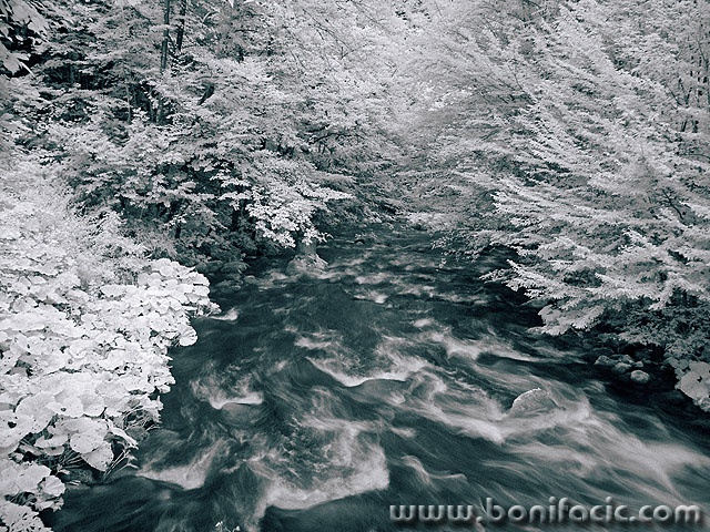 bw___River Kupa___Zeleni Vir, Croatia.