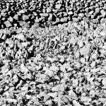 bw___Rocks___Baska, Croatia.