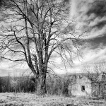 bw___Roofless___Kordun, Croatia.