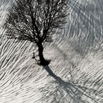 bw___Roots___Mrzla Vodica, Croatia.