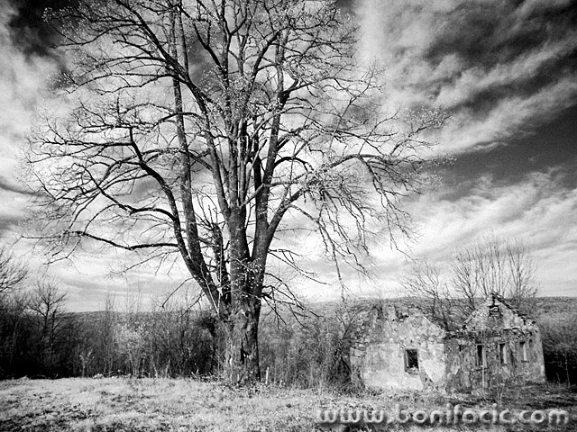 bw___Roofless___Kordun, Croatia.