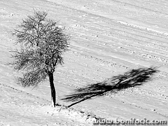 bw___Shade___Krasno, Croatia.