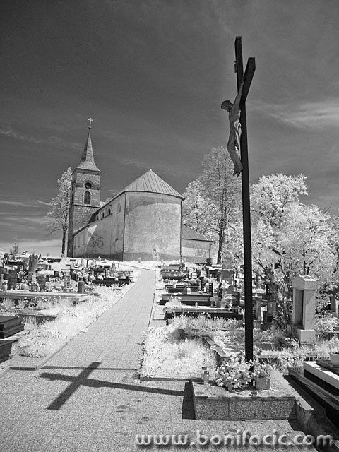 bw___Shadow___Gerovo, Croaria.