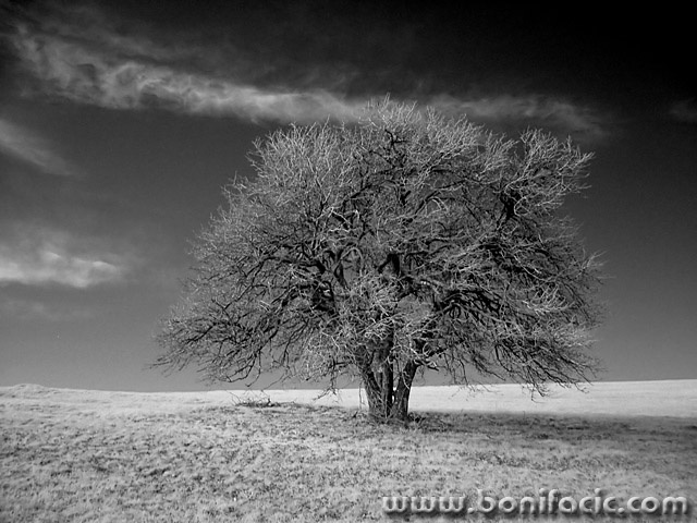 bw___Shock___Jezerane, Croatia.