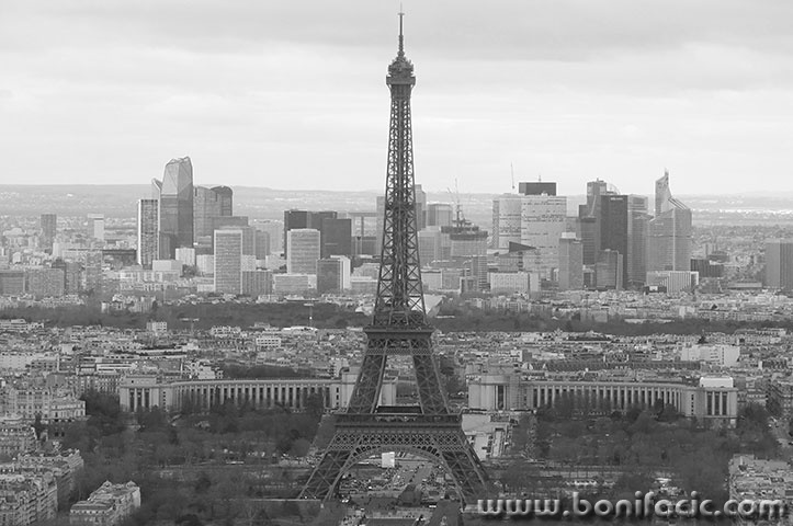 paris254bwmal