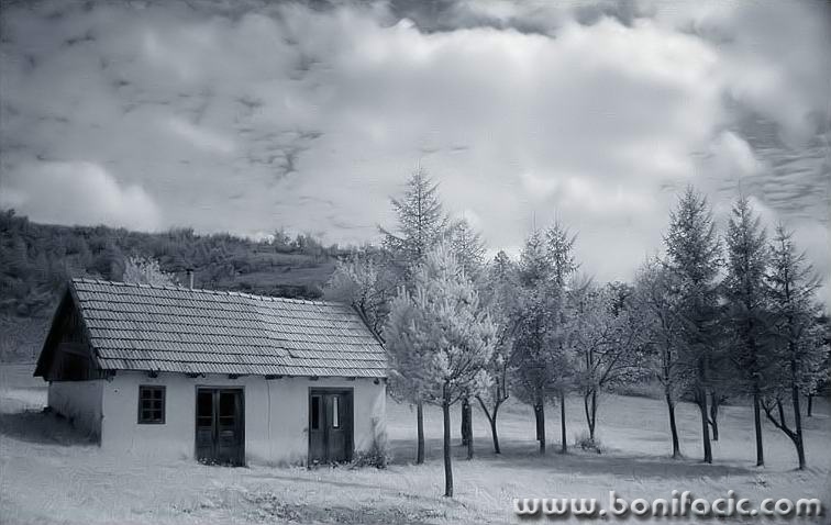 bw___Small House By Small Wood___Modrus, Croatia.