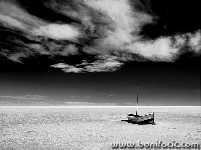 bw___On Ice___Chott El Jerid, Tunisia.