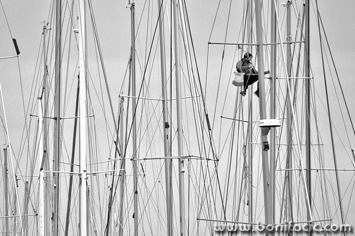 marinajarboli2BWmal