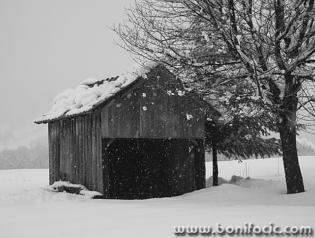bw___Snow___Ogulin, Croatia.