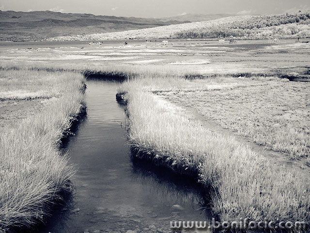 bw___Somewhere___Soline, Croatia.