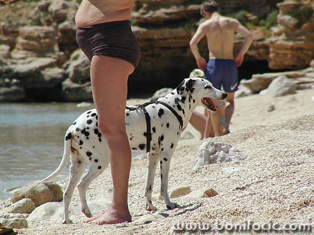 people___Bay Watch___Stara Baska, Croatia.