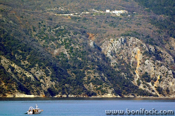 cresribarvalbiska1mal