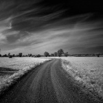 bw___Straight Podravina___Molve, Croatia.