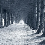 bw___Subway___Ogulin, Croatia.