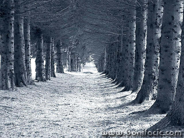 bw___Subway___Ogulin, Croatia.