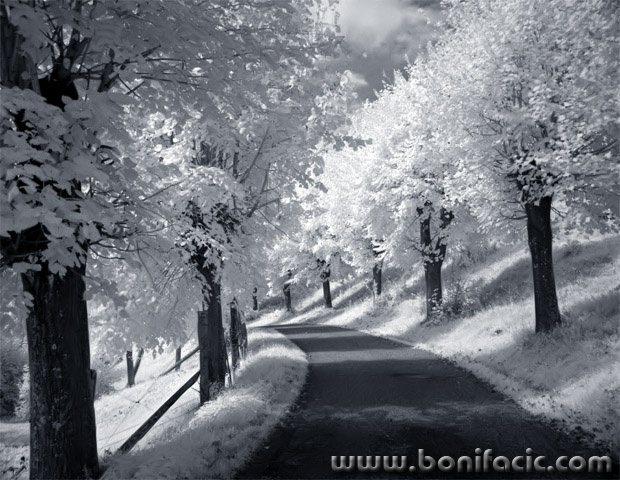 bw___Summer Snow___Modrus, Croatia.