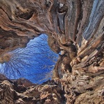 stilllife___Inner Smile___Milohnic, Croatia.