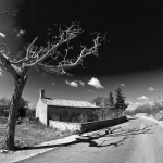 bw___Superficial Roots___Kras, Croatia.