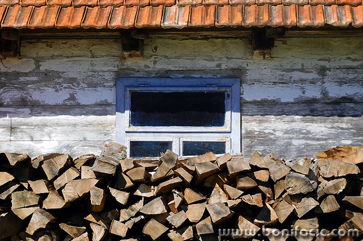 carevopolje14mal