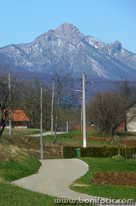 carevopolje10mal