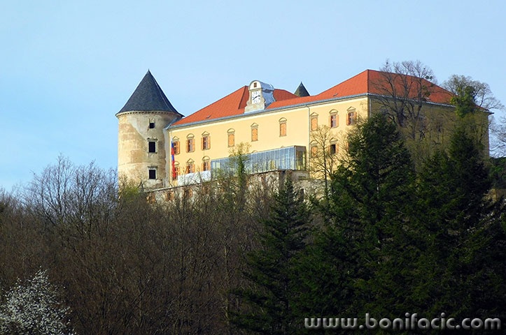 olimia7mal