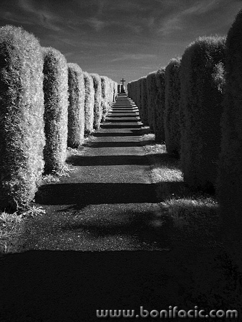 bw___The Last Standpoint___Bjelovar, Croatia.