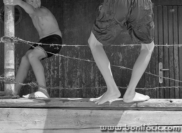 bw___Thorny Escape___Malinska, Croatia.