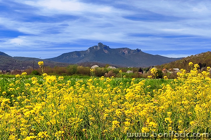 svetipetarzuteroziceklek1mal