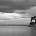 glavotokoblacikisa2bwmal