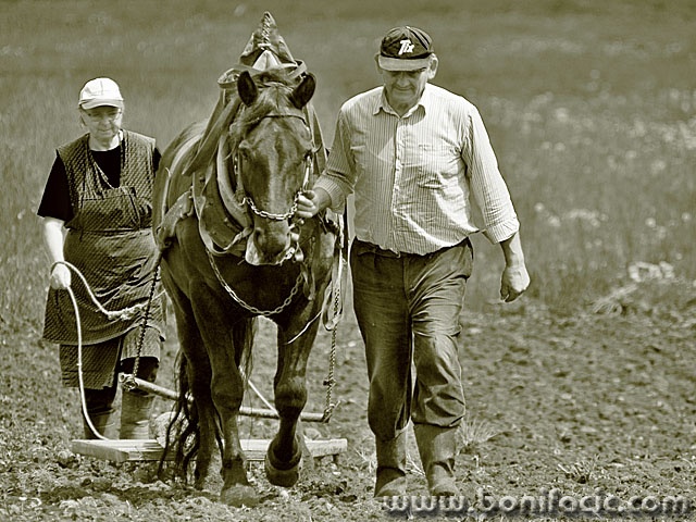 bw___Till___Dreznica, Croatia.