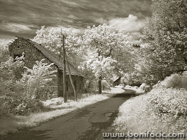 bw___To Gradina___Modrus, Croatia.