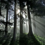 nature___Ventilation___Skrad, Croatia.