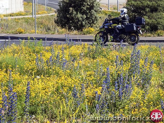 motosenjrozicekruzni1mal