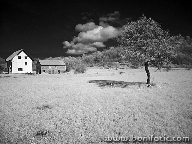 bw___White House___Krasno, Croatia.