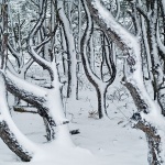 bw___Winter Spook___Baska, Croatia.