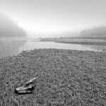 bw___Witness___Fuzine, Croatia.