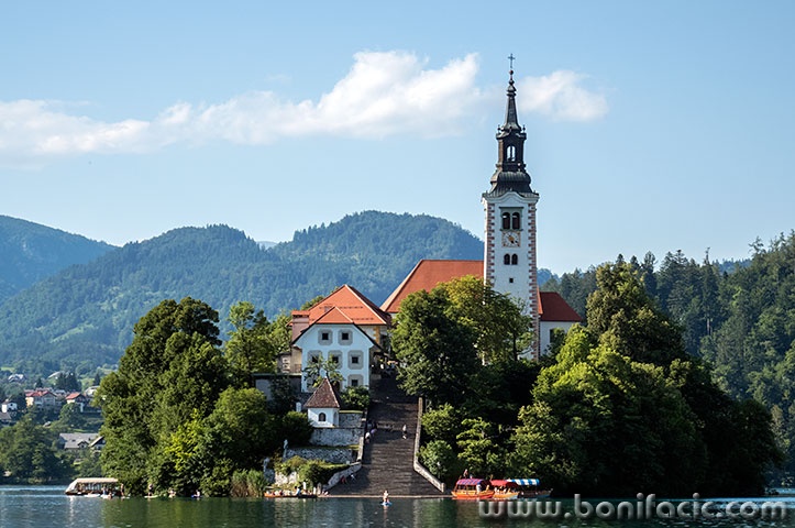 bled59mal