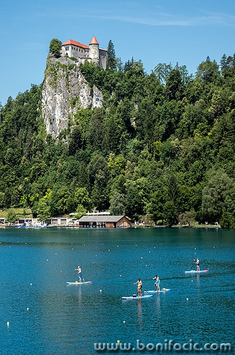 bled39mal