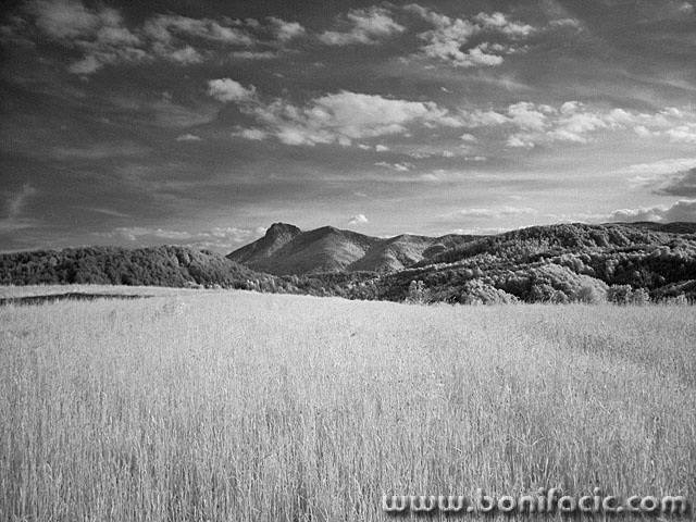 bw___Wide Field___Ljubosina, Croatia.