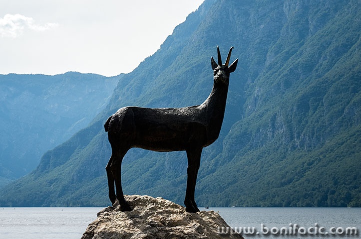 bohinj75mal