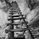 tuneraskalenebosilo1_mal