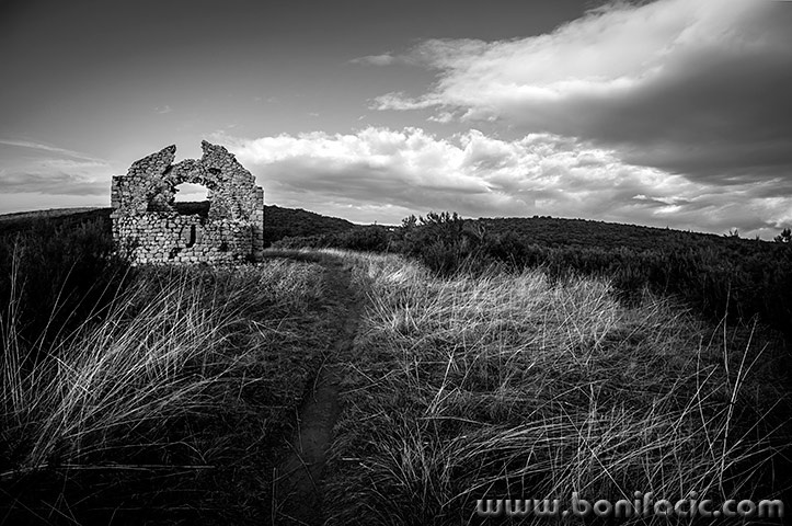 svetimarakwidebw1mal